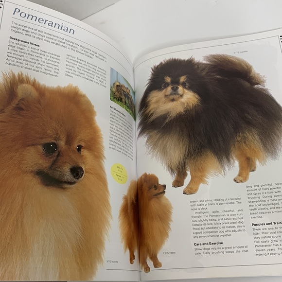 Book | The Ultimate Illustrated Guide To Over 200 Breeds | Legacy Of The Dog - Picture 4 of 8